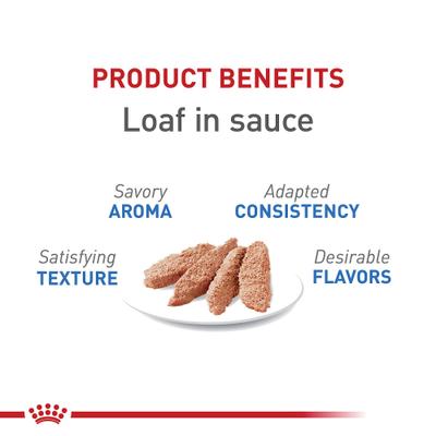 Show full view: Royal Canin Feline Care Nutrition Weight Care Loaf Pate Wet Cat Food, 5.1-oz can, case of 24 slide 4 of 12