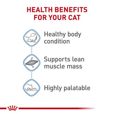Show full view: Royal Canin Feline Care Nutrition Weight Care Loaf Pate Wet Cat Food, 5.1-oz can, case of 24 slide 5 of 12