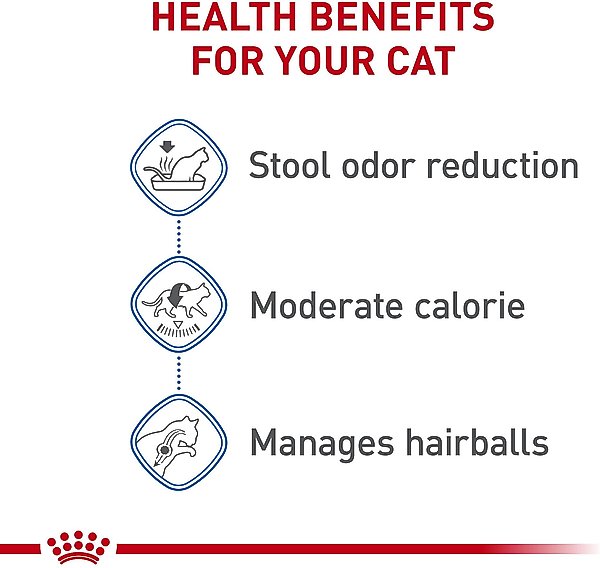Show full view: Royal Canin Feline Health Nutrition Indoor Adult Dry Cat Food, 15-lb bag slide 5 of 11