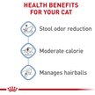Show in main carousel: Royal Canin Feline Health Nutrition Indoor Adult Dry Cat Food, 15-lb bag slide 5 of 11