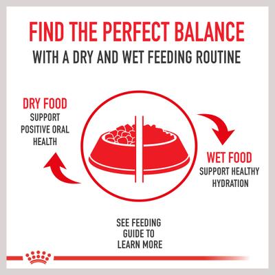 Show full view: Royal Canin Feline Health Nutrition Adult Indoor & Instinctive Wet Cat Food Variety Pack, 3-oz can, 12 count slide 4 of 8