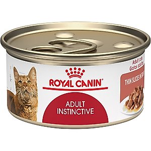 CANIN Bengal ドライフード2kg×2 Royal Canin Cat Dry Food Bengal 2 KG Buy, Best Price in UAE