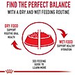 Show in main carousel: Royal Canin Feline Health Nutrition Adult Instinctive Thin Slices in Gravy Canned Cat Food, 3-oz, case of 24 slide 4 of 9