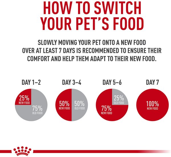 Show full view: Royal Canin Feline Health Nutrition Adult Instinctive Thin Slices in Gravy Canned Cat Food, 3-oz, case of 24 slide 6 of 9