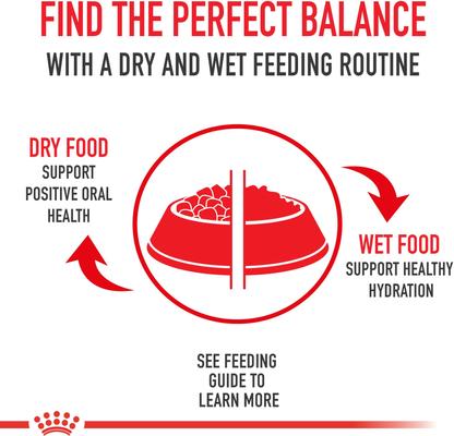 Show full view: Royal Canin Feline Health Nutrition Adult Instinctive Thin Slices in Gravy Canned Cat Food, 3-oz, pack of 12 slide 9 of 12