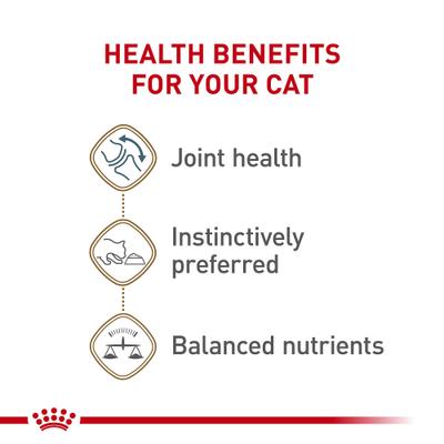 Show full view: Royal Canin Feline Health Nutrition Aging 12+ Loaf in Sauce Canned Cat Food, 5.1-oz, case of 24 slide 5 of 12