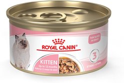 Royal Canin Feline Health Nutrition Dry Food + Feline Health Nutrition Thin Slices in Gravy Wet Kitten Food slide 2 of 9