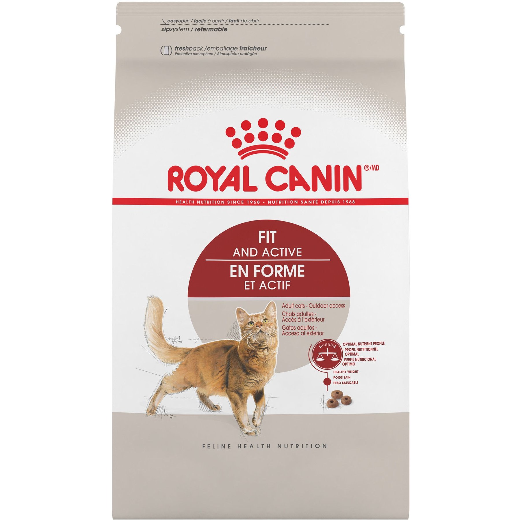Royal Canin Feline Health Nutrition Fit & Active Adult Dry Cat Food, 3-lb bag