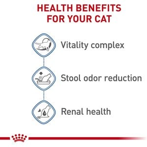 Royal Canin Feline Health Nutrition Indoor 7+ Adult Dry Cat Food, 2.5-lb bag