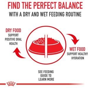 Royal Canin Feline Health Nutrition Indoor 7+ Adult Dry Cat Food, 2.5-lb bag