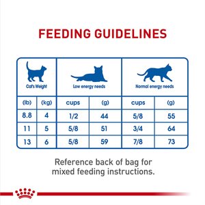 Royal Canin Feline Health Nutrition Indoor 7+ Adult Dry Cat Food, 5.5-lb bag