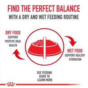 Royal Canin Feline Health Nutrition Indoor 7+ Adult Dry Cat Food, 5.5-lb bag