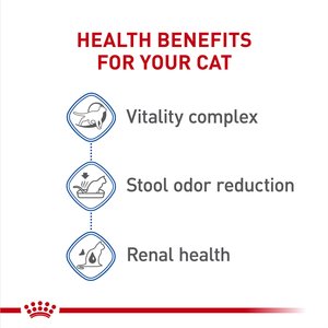 Royal Canin Feline Health Nutrition Indoor 7+ Adult Dry Cat Food, 5.5-lb bag