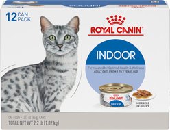 Royal Canin Feline Health Nutrition Indoor Adult Morsels in Gravy Canned Cat Food, 3-oz can, case of 12