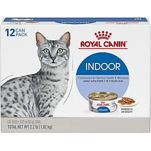 Royal Canin Feline Health Nutrition Indoor Adult Morsels in Gravy Canned Cat Food, 3-oz can, case of 12