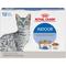 Show in main carousel: Royal Canin Feline Health Nutrition Indoor Adult Morsels in Gravy Canned Cat Food, 3-oz can, case of 12 slide 1 of 10