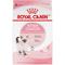 Show in main carousel: Royal Canin Feline Health Nutrition Kitten Dry Cat Food, 12-oz bag slide 1 of 12
