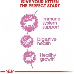Royal Canin Feline Health Nutrition Kitten Dry Cat Food, 12-oz bag