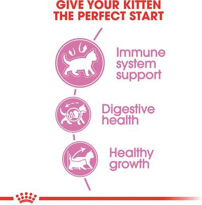 Show full view: Royal Canin Feline Health Nutrition Kitten Dry Cat Food, 12-oz bag slide 4 of 12