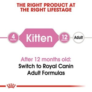 Royal Canin Feline Health Nutrition Kitten Dry Cat Food, 12-oz bag