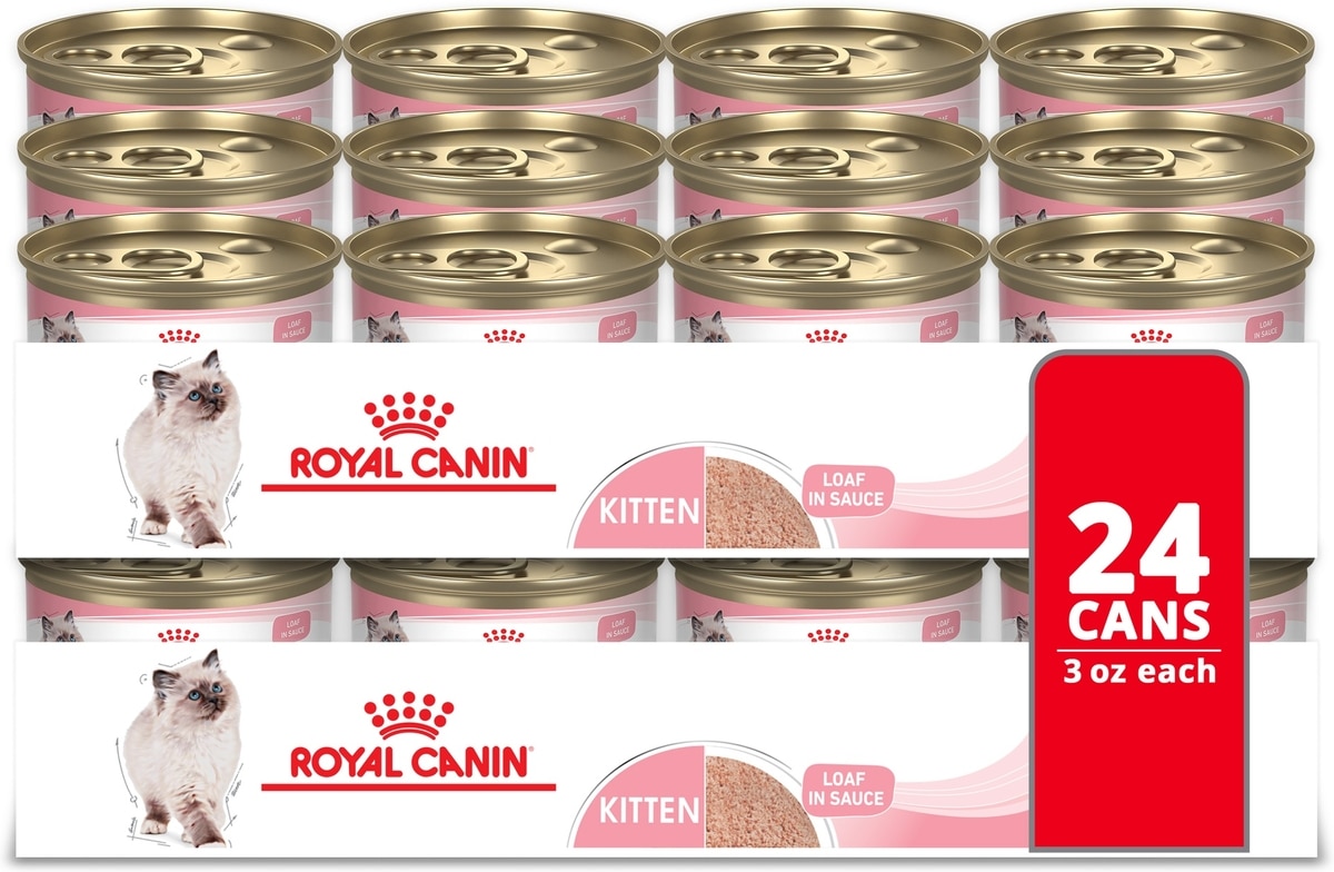 ROYAL CANIN Feline Health Nutrition Kitten Loaf in Sauce Canned