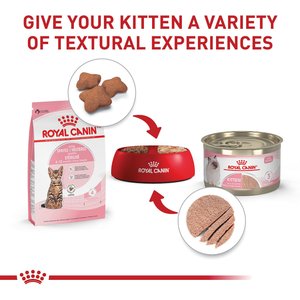 Royal Canin Feline Health Nutrition Kitten Spayed/Neutered Dry Cat Food, 2.5-lb bag