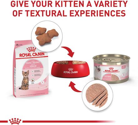Show full view: Royal Canin Feline Health Nutrition Kitten Spayed/Neutered Dry Cat Food, 2.5-lb bag slide 6 of 12
