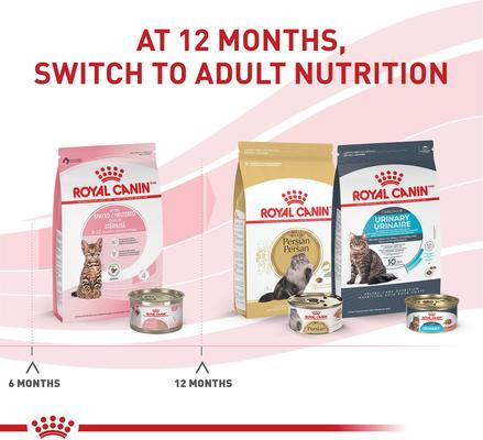 ROYAL CANIN Feline Health Nutrition Kitten Spayed/Neutered Dry Cat