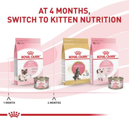 Show full view: Royal Canin Feline Health Nutrition Mother & Babycat Dry Cat Food, 12-oz bag slide 7 of 13