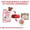 Show in main carousel: Royal Canin Feline Health Nutrition Mother & Babycat Dry Cat Food, 12-oz bag slide 6 of 13