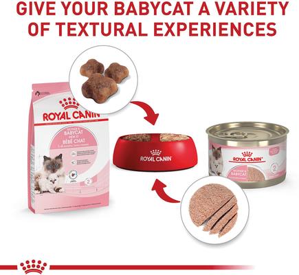 Show full view: Royal Canin Feline Health Nutrition Mother & Babycat Dry Cat Food, 3-lb bag slide 6 of 13