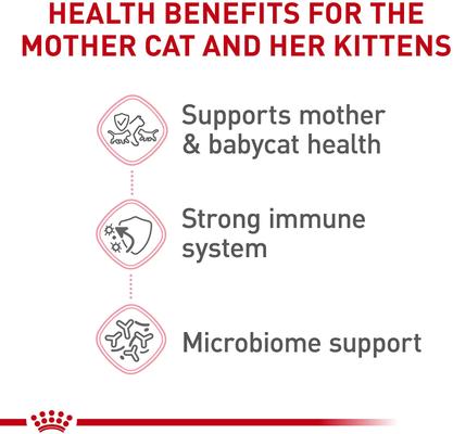 Show full view: Royal Canin Feline Health Nutrition Mother & Babycat Dry Cat Food, 6-lb bag slide 5 of 13