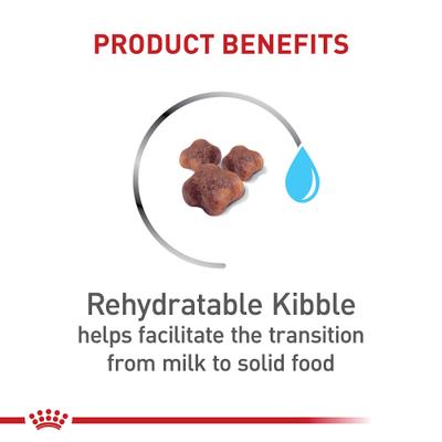 Show full view: Royal Canin Feline Health Nutrition Mother & Babycat Dry Food + Ultra Soft Mousse in Sauce Canned Cat Food slide 5 of 10