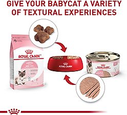 Royal Canin Feline Health Nutrition Mother & Babycat Ultra Soft Mousse in Sauce Canned Food + Chicken Mother & Baby Dry Cat Food slide 2 of 8