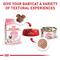 Show in main carousel: Royal Canin Feline Health Nutrition Mother & Babycat Ultra Soft Mousse in Sauce Canned Food + Chicken Mother & Baby Dry Cat Food slide 2 of 11
