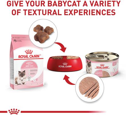 Show full view: Royal Canin Feline Health Nutrition Mother & Babycat Ultra Soft Mousse in Sauce Canned Food + Chicken Mother & Baby Dry Cat Food slide 2 of 11