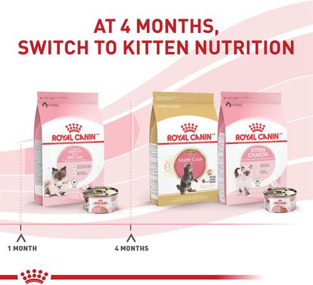 Show full view: Royal Canin Feline Health Nutrition Mother & Babycat Ultra Soft Mousse in Sauce Canned Food + Chicken Mother & Baby Dry Cat Food slide 8 of 11