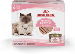 Royal Canin Feline Health Nutrition Mother & Babycat Ultra Soft Mousse in Sauce Wet Cat Food, 3-oz can, 6 count