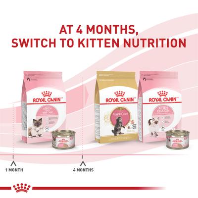 Show full view: Royal Canin Feline Health Nutrition Mother & Babycat Ultra Soft Mousse in Sauce Wet Cat Food, 3-oz can, pack of 12 slide 7 of 14