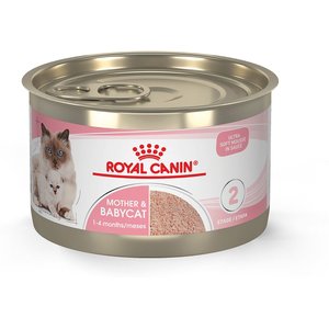 Royal Canin Feline Health Nutrition Mother & Babycat Ultra Soft Mousse in Sauce Wet Cat Food, 5.1-oz can, case of 24