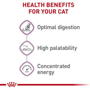 Royal Canin Feline Health Nutrition Sensitive Digestion Dry Cat Food, 7-lb bag