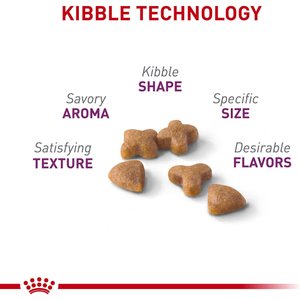 Royal Canin Feline Health Nutrition Sensitive Digestion Dry Cat Food, 7-lb bag