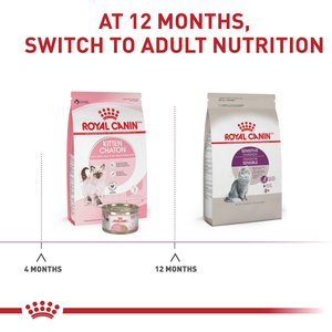Royal Canin Feline Health Nutrition Sensitive Digestion Dry Cat Food, 7-lb bag