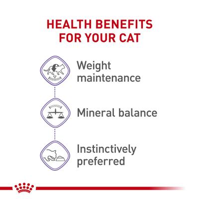 Show full view: Royal Canin Feline Health Nutrition Spayed/Neutered Thin Slices in Gravy Canned Cat Food, 3-oz, case of 24 slide 5 of 12