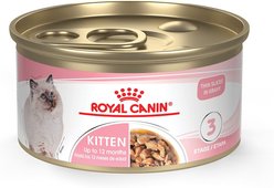 Royal Canin Feline Health Nutrition Kitten Thin Slices in Gravy Wet Cat Food, 3-oz can, case of 24