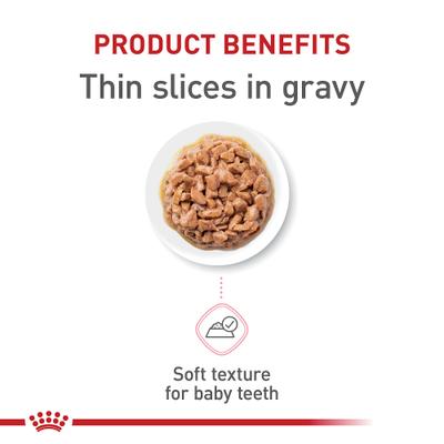 Show full view: Royal Canin Feline Health Nutrition Kitten Thin Slices in Gravy Wet Cat Food, 3-oz can, case of 24 slide 5 of 14