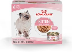 Royal Canin Feline Health Nutrition Kitten Thin Slices in Gravy Wet Cat Food, 3-oz, case of 6