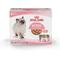 Show in main carousel: Royal Canin Feline Health Nutrition Kitten Thin Slices in Gravy Wet Cat Food, 3-oz, case of 6 slide 1 of 14