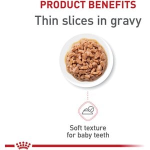 Royal Canin Feline Health Nutrition Kitten Thin Slices in Gravy Wet Cat Food, 3-oz, case of 6