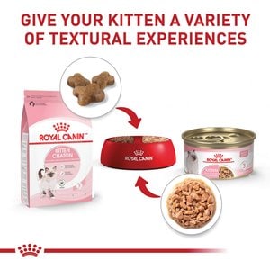 Royal Canin Feline Health Nutrition Kitten Thin Slices in Gravy Wet Cat Food, 3-oz, case of 6